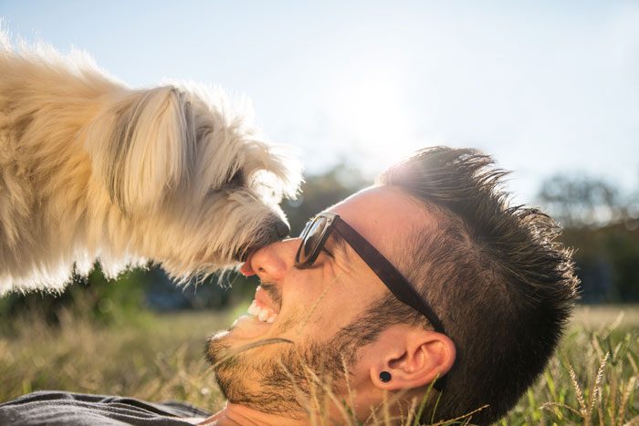 5 Tips to Dealing With the Loss of a Pet