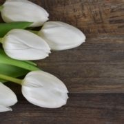 stuhrs flowers