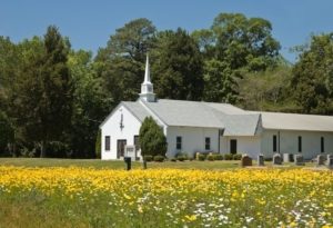 A church cemetery is one of the many different types of cemeteries.